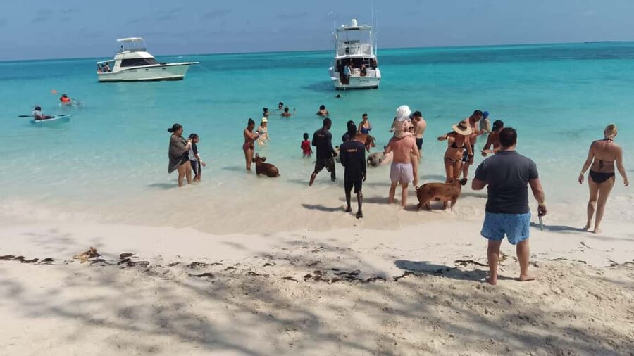 Nassau: Swimming with Pigs, Snorkeling, and Sightseeing Tour - Captain Chris and the value of personal service