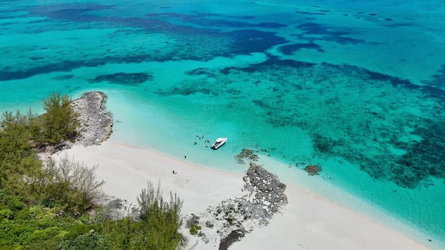 Paradise Found In Hog Haven: Ultimate Beach Escape - Meeting the swimming pigs