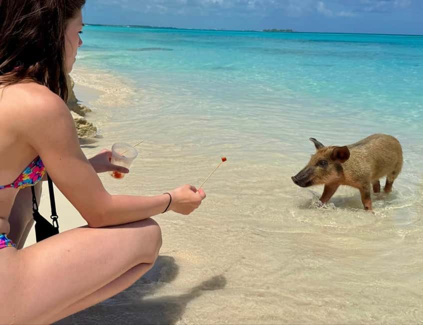 Paradise Found In Hog Haven: Ultimate Beach Escape - Volleyball, pool, and shaded rest