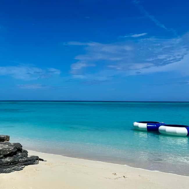 Paradise Found In Hog Haven: Ultimate Beach Escape - Food, drinks, and the beach bar