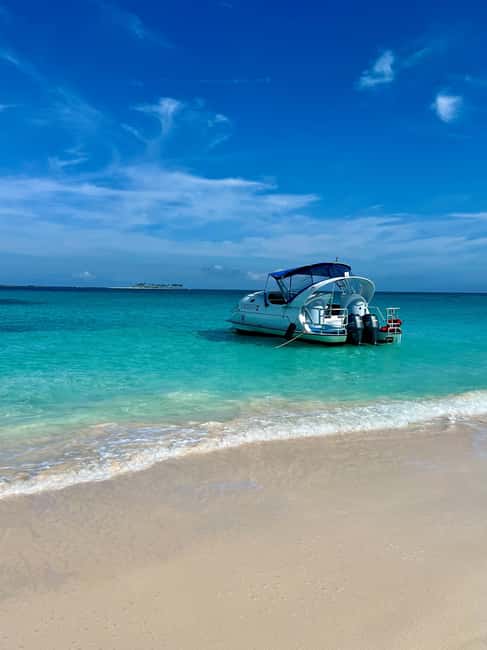 Paradise Island: Glass-Bottom Boat Tour with Live Commentary - Looking through the glass-bottom window
