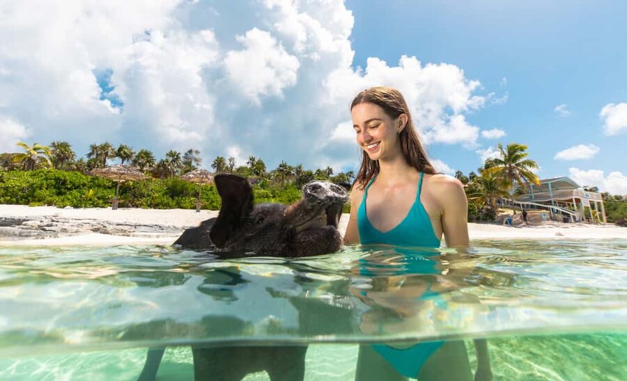 Paradise Island: Rose Island Tour with Swimming Pigs & Lunch - Key things to know before booking
