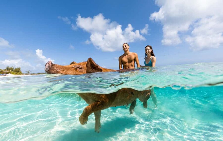 Paradise Island: Rose Island Tour with Swimming Pigs & Lunch - Leaving Paradise Island for Rose Island