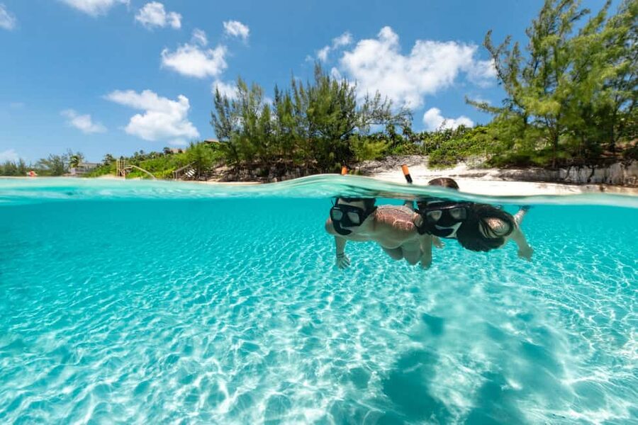 Paradise Island: Rose Island Tour with Swimming Pigs & Lunch - Snorkeling over reef and fish