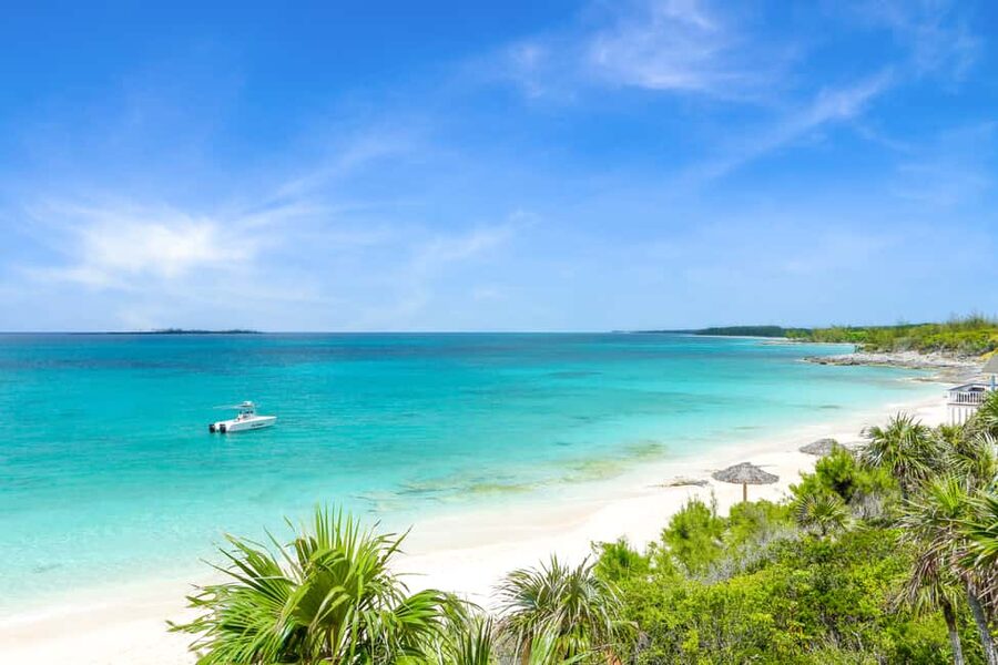 Paradise Island: Rose Island Tour with Swimming Pigs & Lunch - The practical value of the $252 price