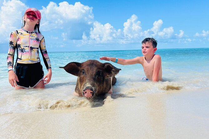 Perfect Day Swimming Pigs, Turtles, Reef Snorkel & Lunch - What the $189 Nassau boat tour really includes