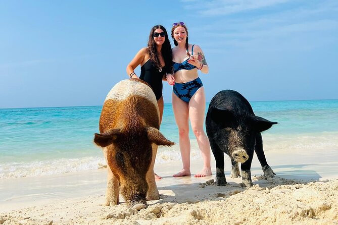 Perfect Day Swimming Pigs, Turtles, Reef Snorkel & Lunch - Montagu Beach is the starting point