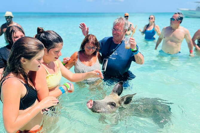 Perfect Day Swimming Pigs, Turtles, Reef Snorkel & Lunch - Who will enjoy this Rose Island day most