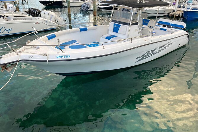 Pigs Beach, Green Turtle Cay, Rose Island Private Tour - A private boat day from Nassau