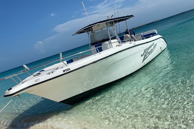 Pigs Beach, Green Turtle Cay, Rose Island Private Tour - Pig Beach and the extra cash decision