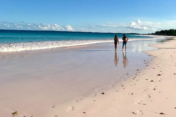 Pink Sand Beach and Swimming Pigs Adventure from Nassau - Starting at Paradise Island at 8:30 a.m.
