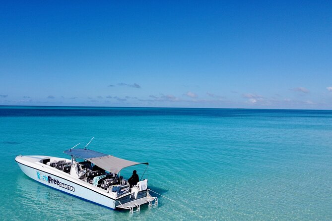 Pink Sand Beach and Swimming Pigs Adventure from Nassau - The boat rides are part of the deal