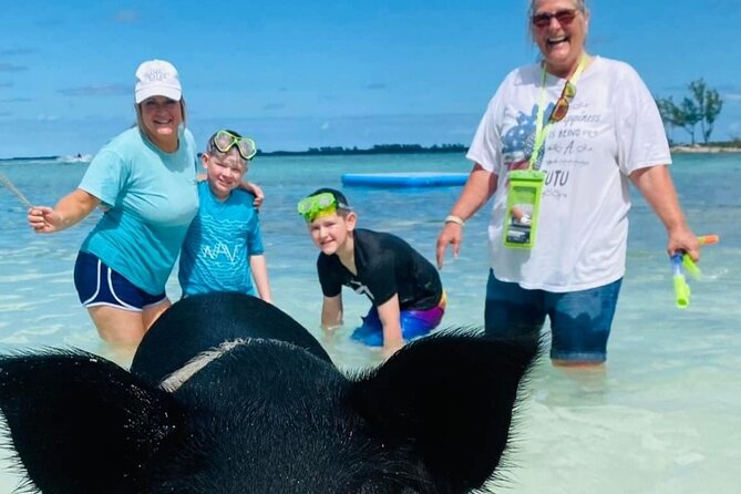 Powerboat and Snorkel Experience with Swimming Pigs and Turtles - Rose Island snorkeling and the value of the reef stop