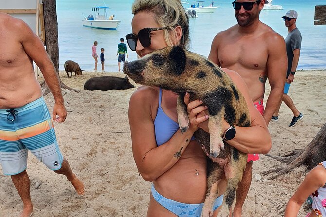 Powerboat and Snorkel Experience with Swimming Pigs and Turtles - Green Cay and the turtle sanctuary