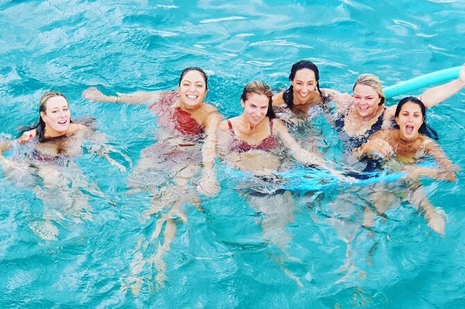 Powerboat and Snorkel Experience with Swimming Pigs and Turtles - Sandy Cay and the Gilligan’s Island connection