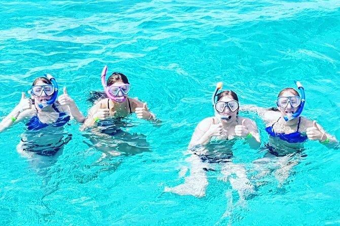 Powerboat and Snorkel Experience with Swimming Pigs and Turtles - What the Donzi boat adds to the experience