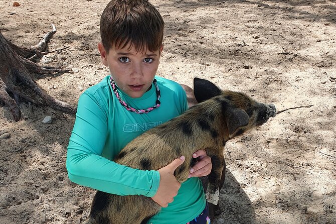 Powerboat and Snorkel Experience with Swimming Pigs and Turtles - Who will enjoy this trip most