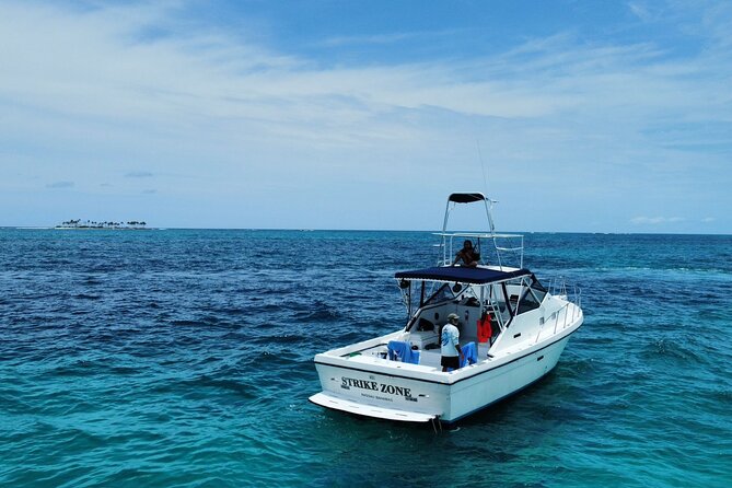 Private 38' Defender Sportfishing/Swim with Pigs in Nassau - Key points to know before booking