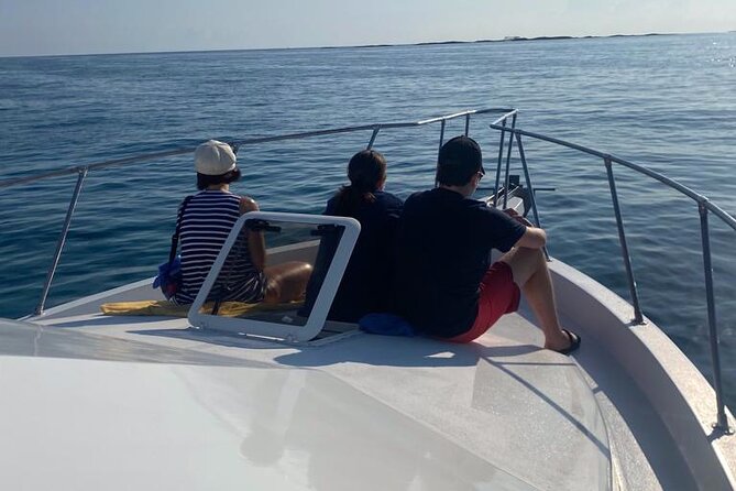 Private 38' Defender Sportfishing/Swim with Pigs in Nassau - Bottom fishing near Nassau