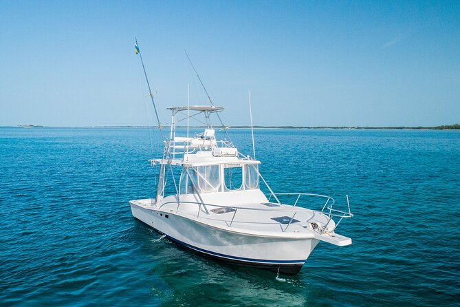 Private Bahamas Half-Day Fishing Tour from New Providence - What the crew can add to the day