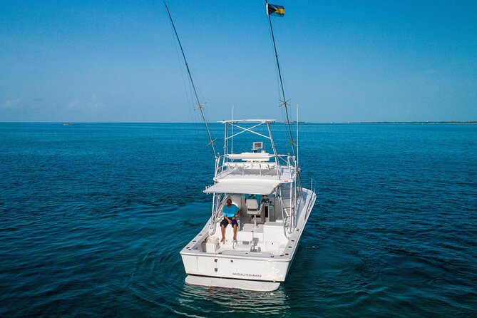 Private Bahamas Half-Day Fishing Tour from New Providence - Weather, sea conditions, and realistic expectations