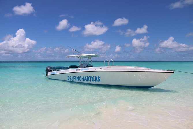 Private Boat Swim and Snorkel Adventure to Rose Island - Key points at a glance