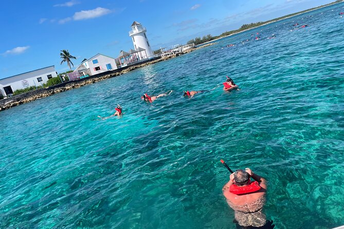 Private Boat Swim and Snorkel Adventure to Rose Island - Swimming with turtles and meeting pigs