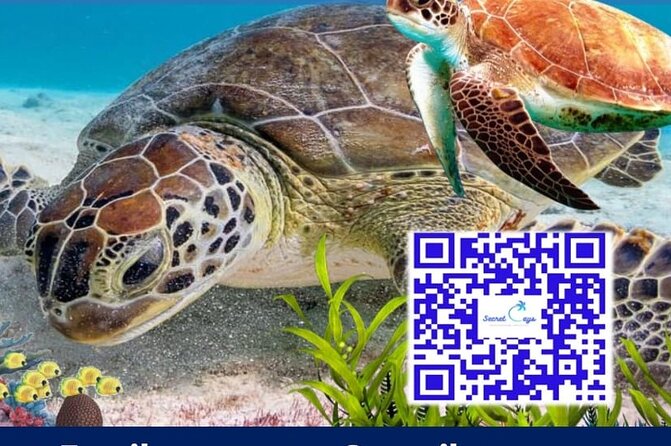 Private Charter for snorkeling, swimming pigs, turtles & fishing.... - Starting at Paradise Island Ferry Terminal