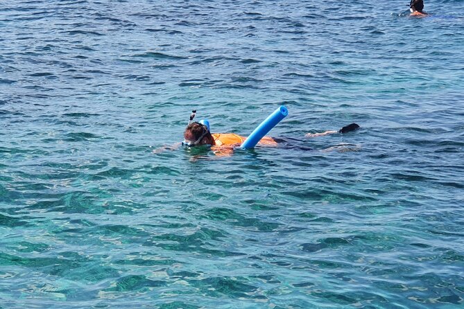 Private Charter for snorkeling, swimming pigs, turtles & fishing.... - What four hours really gives you