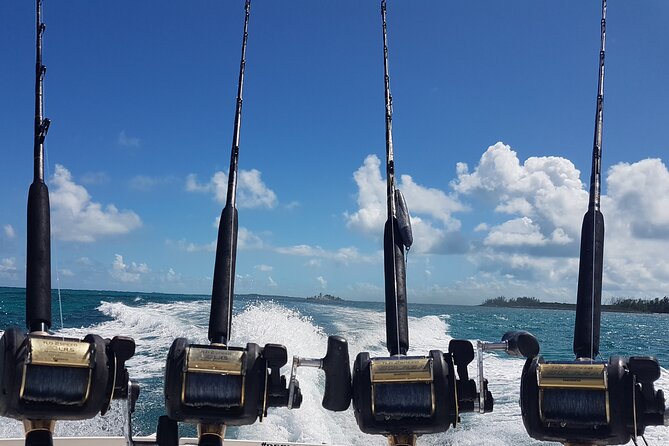 Private Charter for snorkeling, swimming pigs, turtles & fishing.... - Comfort, equipment, and what to bring