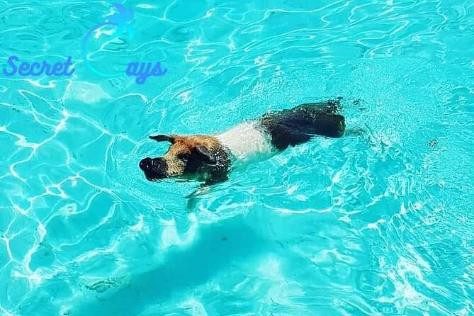 Private Charter for snorkeling, swimming pigs, turtles & fishing.... - Cancellation, weather, and planning details