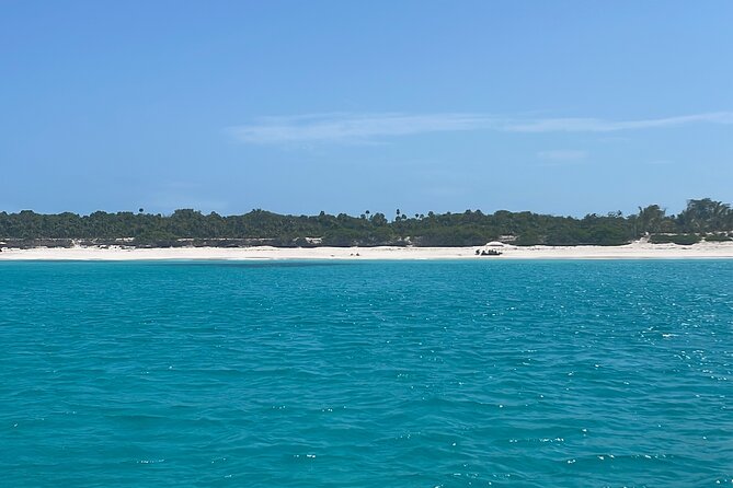 Private Eleuthera Island: Swim With Pigs, Turtles & Stingrays - Who will enjoy this day most