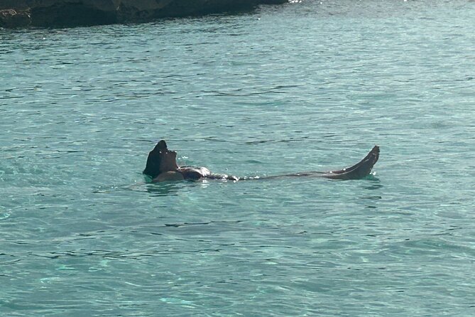 Private Full Day Cruise Tour in Rose Island with Snorkeling - What this Rose Island cruise is really like