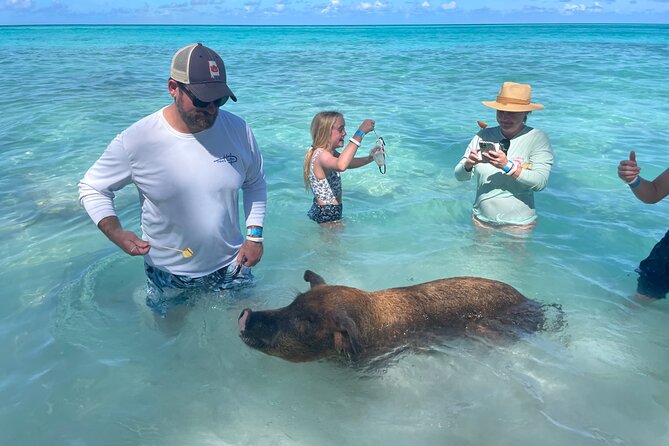 Private Full Day Cruise Tour in Rose Island with Snorkeling - Families, cruise passengers, and the best match