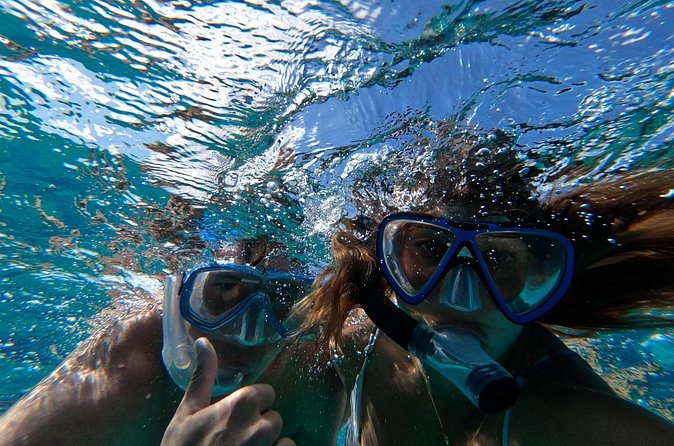 Private GroupTour Pigs/Turtles/Snorkeling/Lunch/Pickup/Dropoff - Rose Island pigs, lunch, and the choice to stay aboard