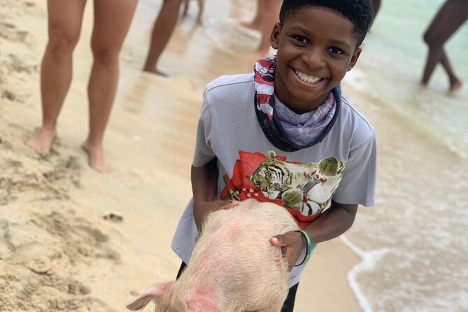 Private GroupTour Pigs/Turtles/Snorkeling/Lunch/Pickup/Dropoff - Pickup from Nassau and the afternoon schedule