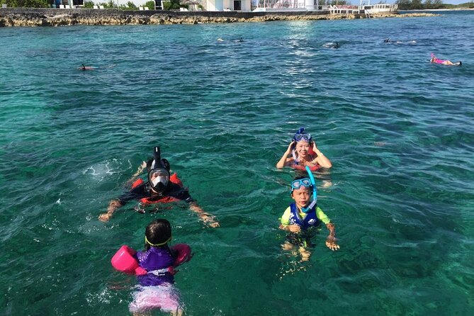 Private Rose Island, Swimming Pigs, Snorkeling and Turtles - Why a private Nassau boat makes sense