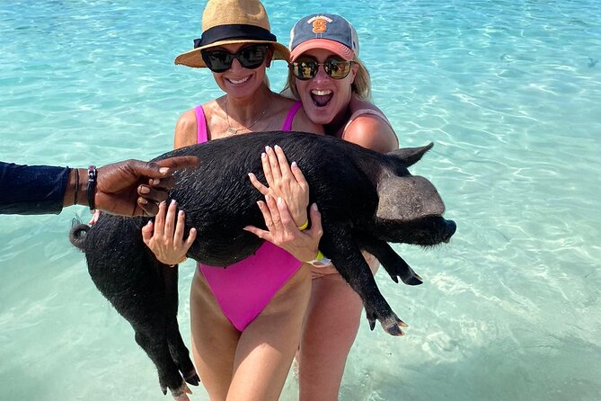 Private Rose Island, Swimming Pigs, Snorkeling and Turtles - Rose Island and the appeal of a quiet beach