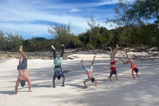 Private Rose Island, Swimming Pigs, Snorkeling and Turtles - Green Cay and the sea turtle search