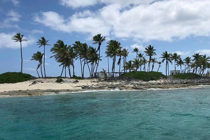Private Rose Island, Swimming Pigs, Snorkeling and Turtles - What is included, and what you should bring