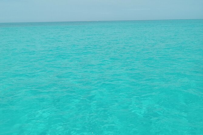 Private speed boat beach and bar hopping visiting Rose island - Key points at a glance