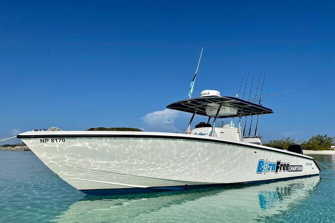 Private Speed Boat for Snorkeling or Fishing in Nassau - 34ft - Key things to know before booking