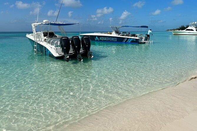 Private Tour 45ft Powerboat to Nearby Islands - Swimming pigs at Rose Island