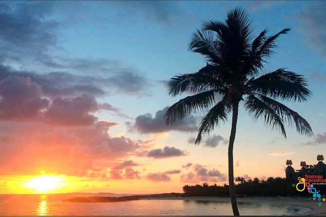 Private Transfer in Nassau (Baha Mar and Surrounding Hotel) - The early 4:30 am start needs attention