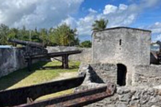 Private Transport to Airport, Hotel, Port in Nassau Bahamas - What you may see along the road