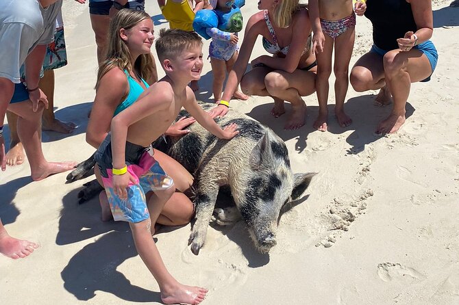 Rose Island 3 Island Luxury Private Tour(8hrs) - Green Turtle Cay, five minutes from Pearl Island