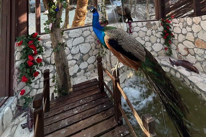 Rose Island Adventure: Snorkel, Sea Turtles, and Private Beach - What You Eat and Drink