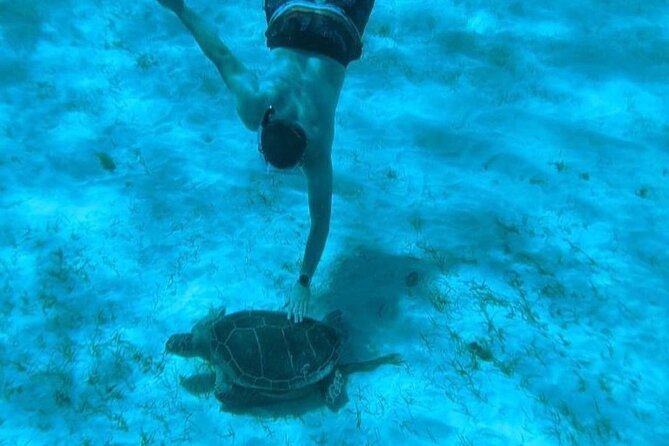 Rose Island Adventure: Snorkel, Sea Turtles, and Private Beach - Timing Matters for Cruise Passengers