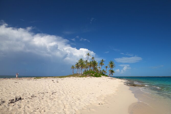 Rose Island Adventure: Turtle Swim and Snorkel - Key points to know before booking