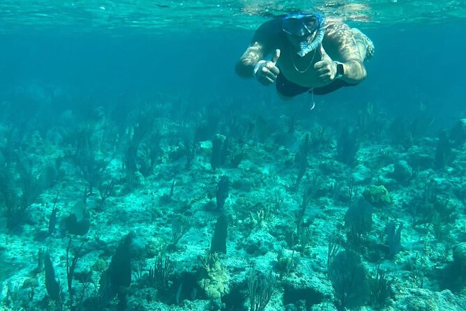Rose Island Adventure: Turtle Swim and Snorkel - Why this Bahamas boat trip works